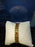 Badus Classy Plain Dial Golden Chain Watch For Women MWA-004